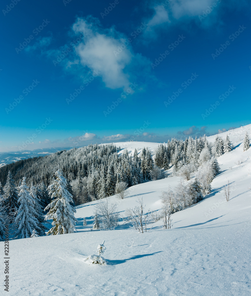 Winter mountain snowy landscape