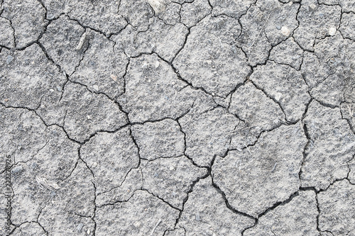 Dried and Cracked ground.