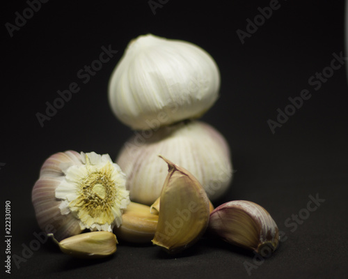 garlic head on a black background