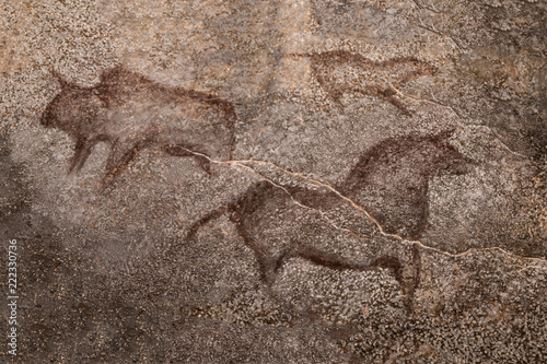An image of ancient animals on the wall of the cave. ancient people. history. archeology.