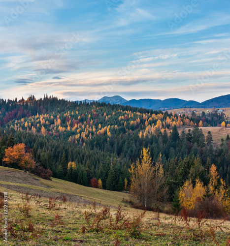 Evening autumn Carpathian mountain, Ukraine.