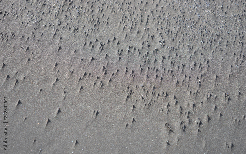 Sand-Textur bei Ebbe in den Ostfjorden / Island Sand-Textur bei Ebbe in den Ostfjorden / Island