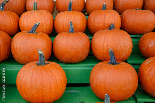 Fall pumpkins on Shelves at a Market