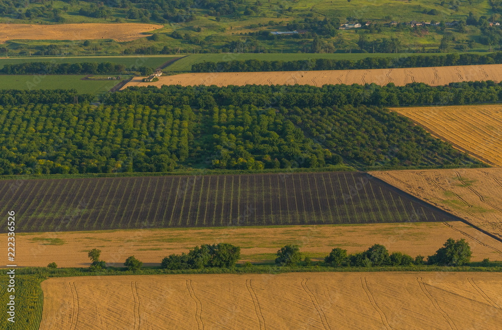 Fruit gardens. Green fields. Agricultural landscape. Cherry, apple. Harvest. South of Russia. Geometry of fields.