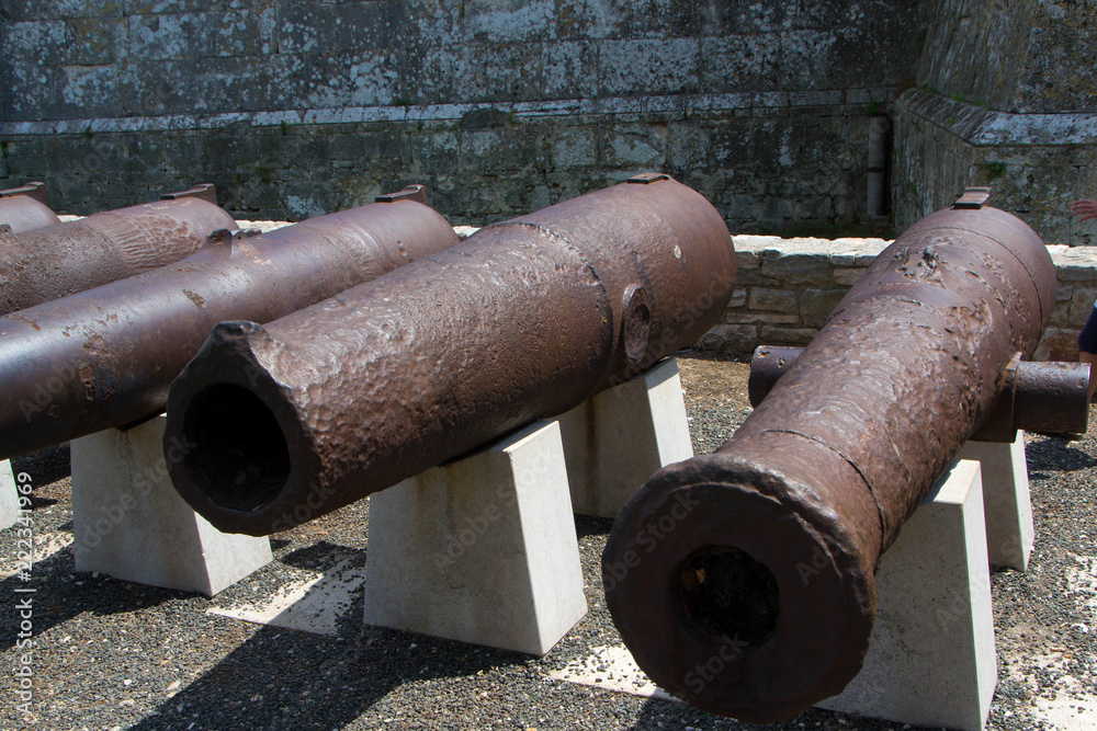 Cannons, from the fort