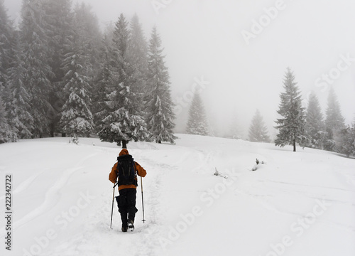A man with a backpack and ski sticks walks along the snowy trail into the mist; Hiking in winter through a foggy forest in mountains