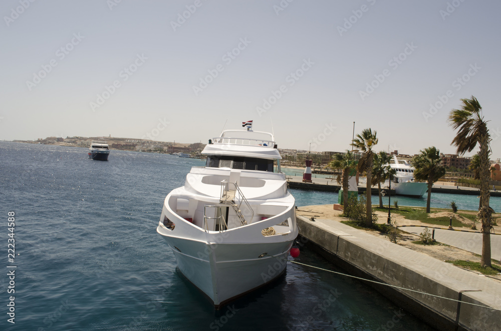 Fototapeta premium seaport in egypt