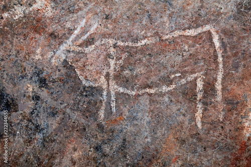 Bushmen (san) rock painting of eland antelopes, Northern Cape, South Africa.