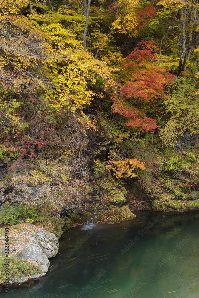 秋の紅葉と渓谷 秋の紅葉と渓谷