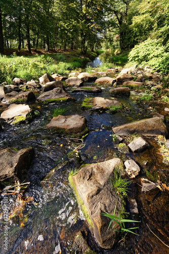 A small river flows at low water level between large stones, in the background high trees, sunny weather - Location: Germany, Brandenburg, Schradenland, Lindenau, river 