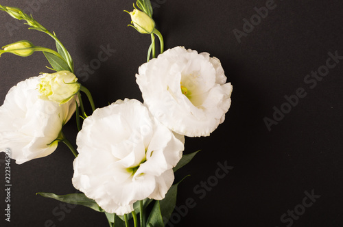 Flower decoration. White flowers of Lisianthus on the dark background.