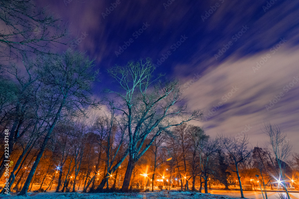 Night shot long exposure with some clouds and some stars and trees in the foreground Night shot long exposure with some clouds and some stars and trees in the foreground