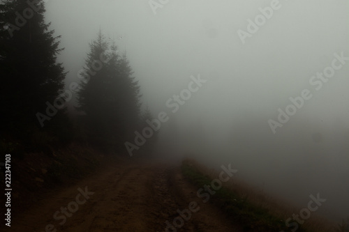 foggy summer morning