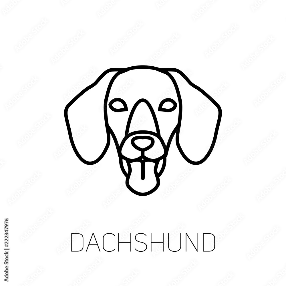 Dachshund tongue out. Dog breed linear face icon. Isolated vector line dog head