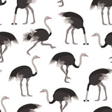Cartoon Ostrich Bird Seamless Pattern Background. Vector