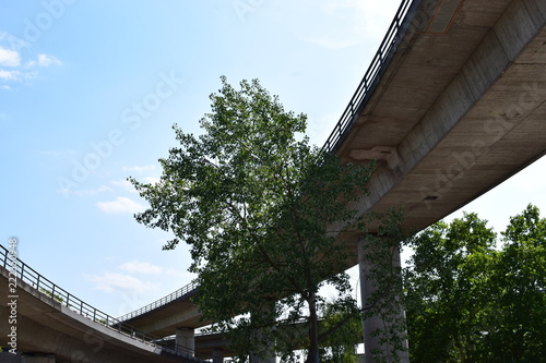 Koblenz-Oberwerth, Südbrücke 08/18