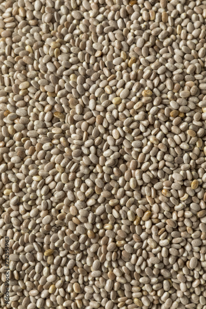Fototapeta premium Dry Organic White Chia Seeds