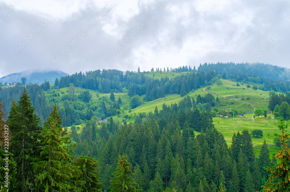 view from above on houses and forest in the mountains, Carpathians Ukraine