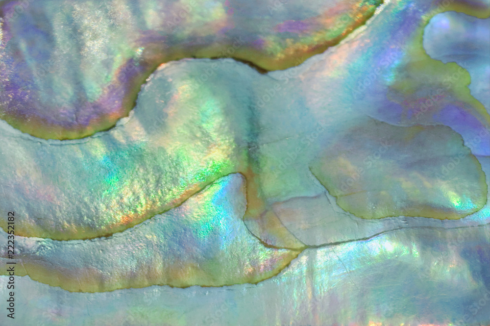 mother of pearl texture background Stock Photo | Adobe Stock