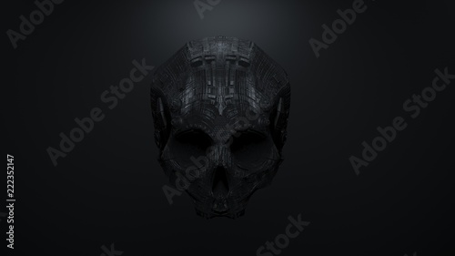 фотографія skull / death mask