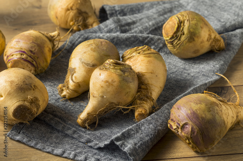 Tableau sur toile Raw Organic Brown Rutabaga Root
