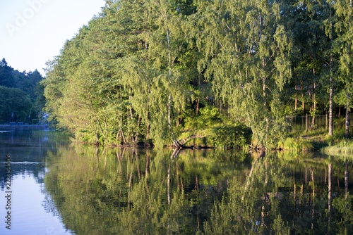 lake in forest