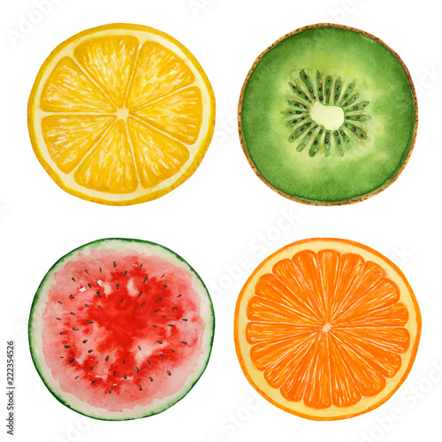 Set of watercolor fruits and  watermelon, paint  texture 