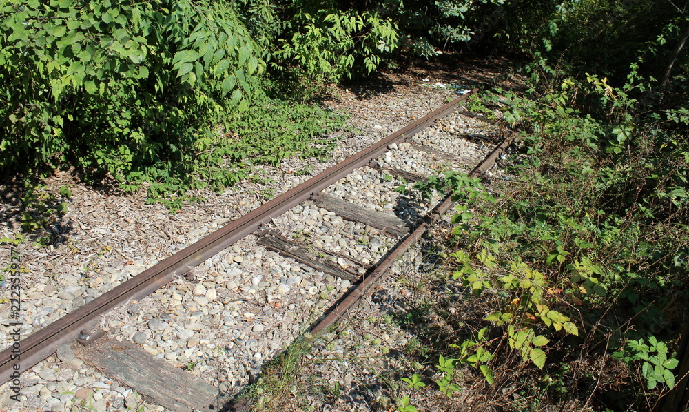 Fototapeta premium Binari abbandonati del treno
