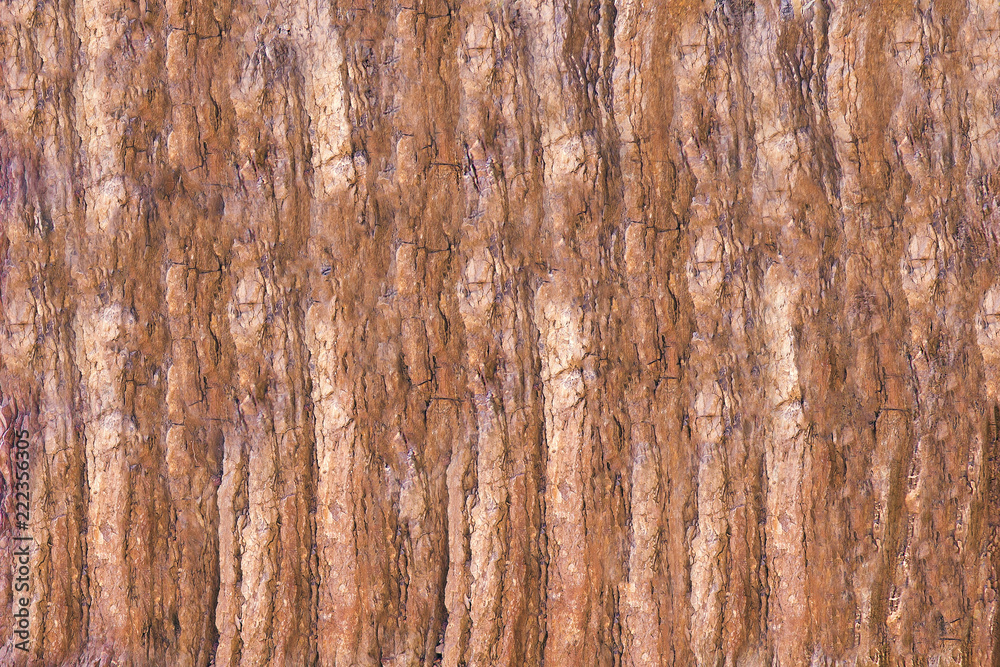 The texture of the rock surface, similar to the bark of a tree The texture of the rock surface, similar to the bark of a tree