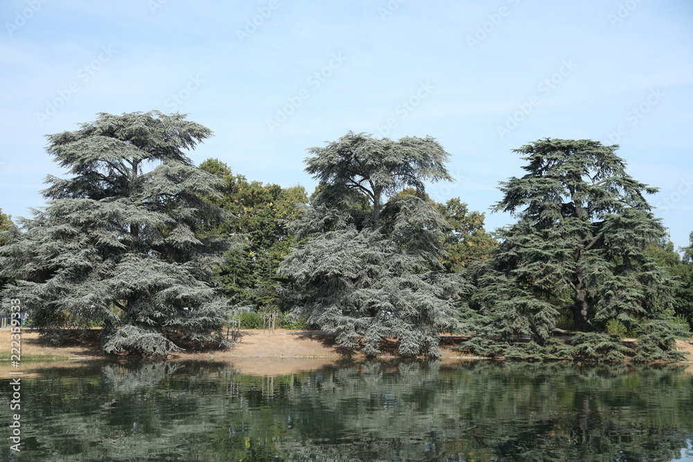 Fototapeta premium lac