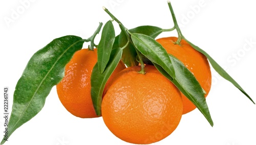 Fresh picked oranges
