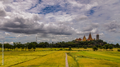 rural landscape with field and blue sky and a temple in thailand