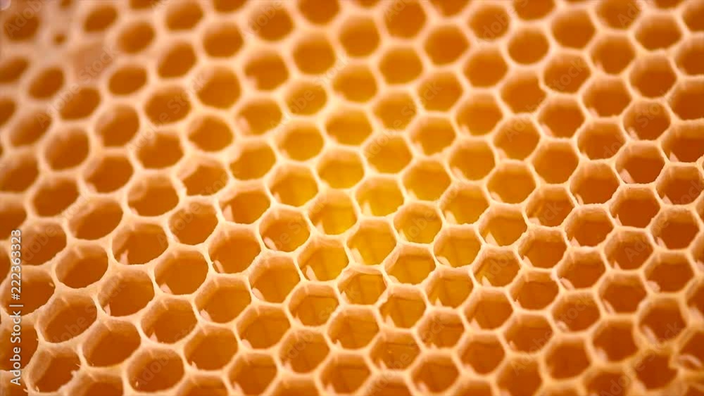 Honeycomb. Honey combs full of fresh organic sweet honey. Healthy food concept. Rotation 4K UHD video 3840X2160 Honeycomb. Honey combs full of fresh organic sweet honey. Healthy food concept. Rotation 4K UHD video 3840X2160
