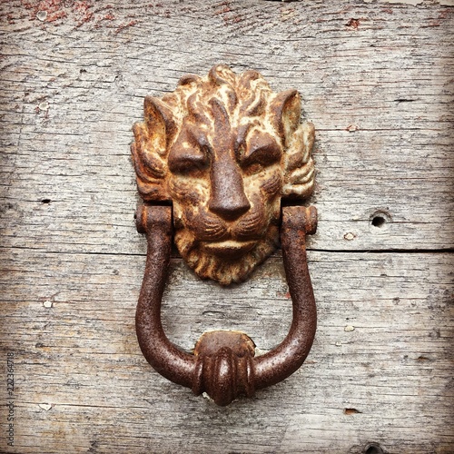 maçaneta de uma porta antiga em forma de leao