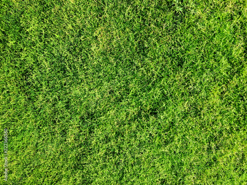 Top view of naural grass