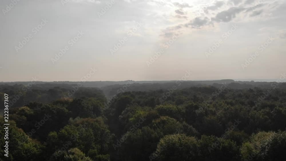 Over the oak forest, morning time. Smooth climb up, aerial shooting Over the oak forest, morning time. Smooth climb up, aerial shooting