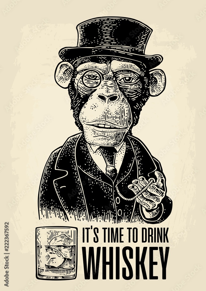 Naklejka premium Dżentelmen małpa trzymający zegarek i ubrany kapelusz, garnitur. Rytownictwo