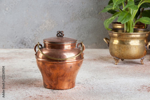 Vintage copper can and green plants