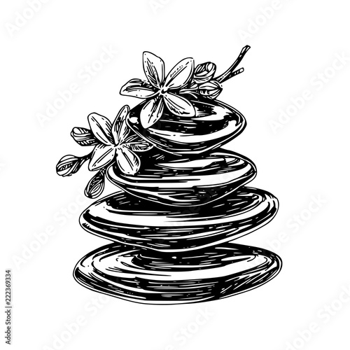 Spa stones and tropical flowers. Engraving style. Vector illustration.