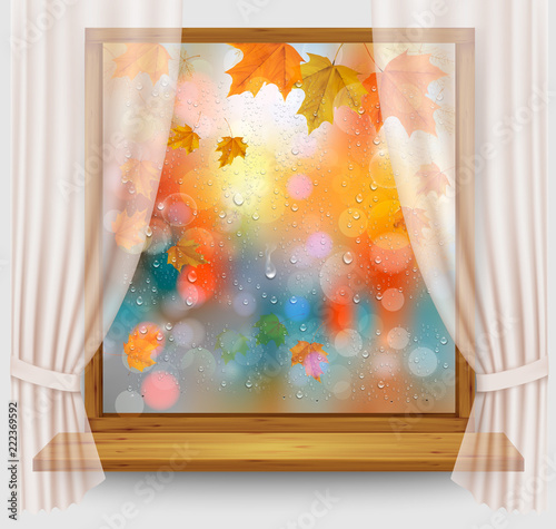 Autumn background with colordul leaves and water droplets on the transparent window. Vector photo