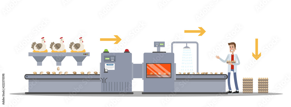 Naklejka premium Chicken egg factory. Egg production on machinery line