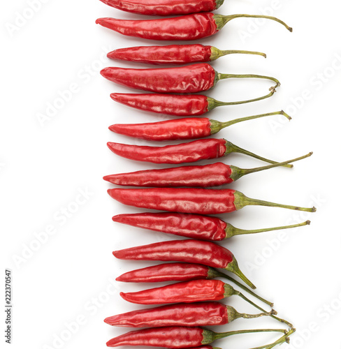 Very Hot Chili Peppers Isolated on White Background Top View