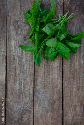 bunch of basil on wooden surface