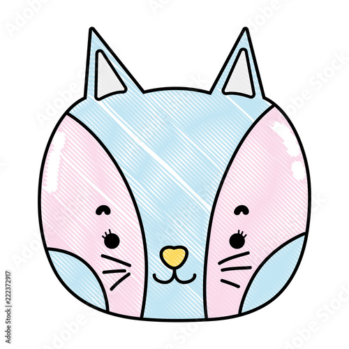 grated adorable cat head nice animal