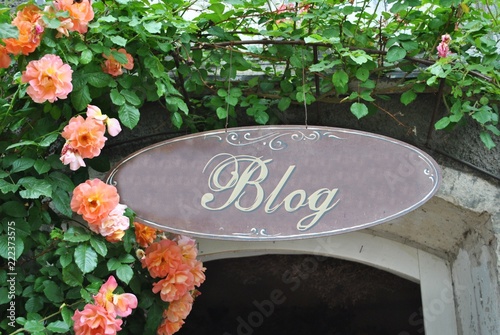 Blog