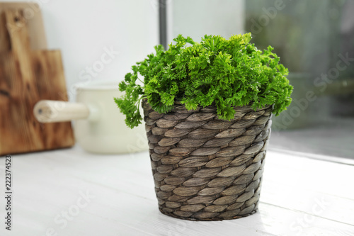Wicker pot with fresh green parsley on window sill