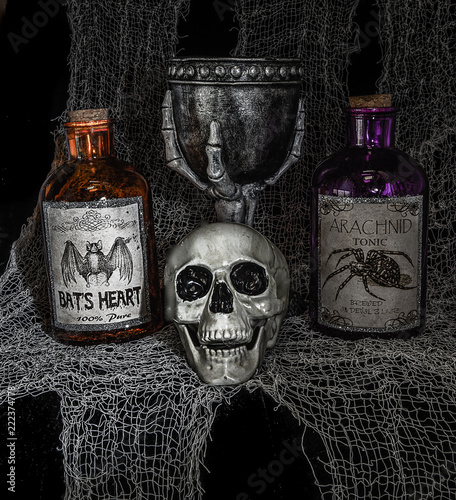 Ingredients for a witche's potion