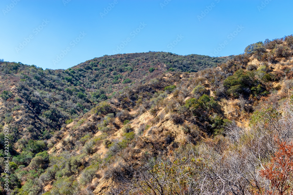 Morning sun over foothills and dry brush covering hillsides in Southern California forest