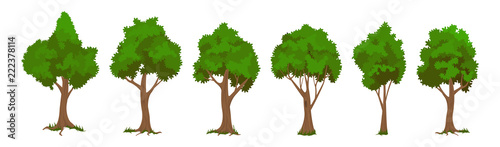 Vector trees set 