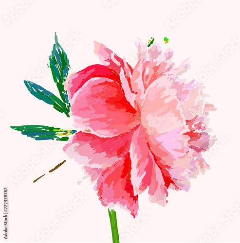 peony flower